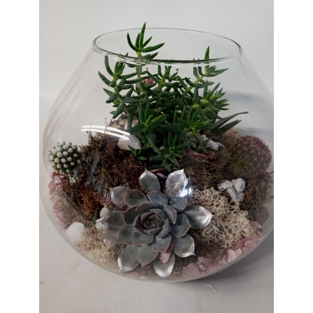 Pequeño Jardín 1
